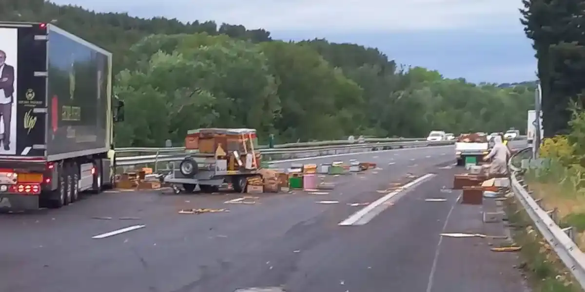 accident ruches