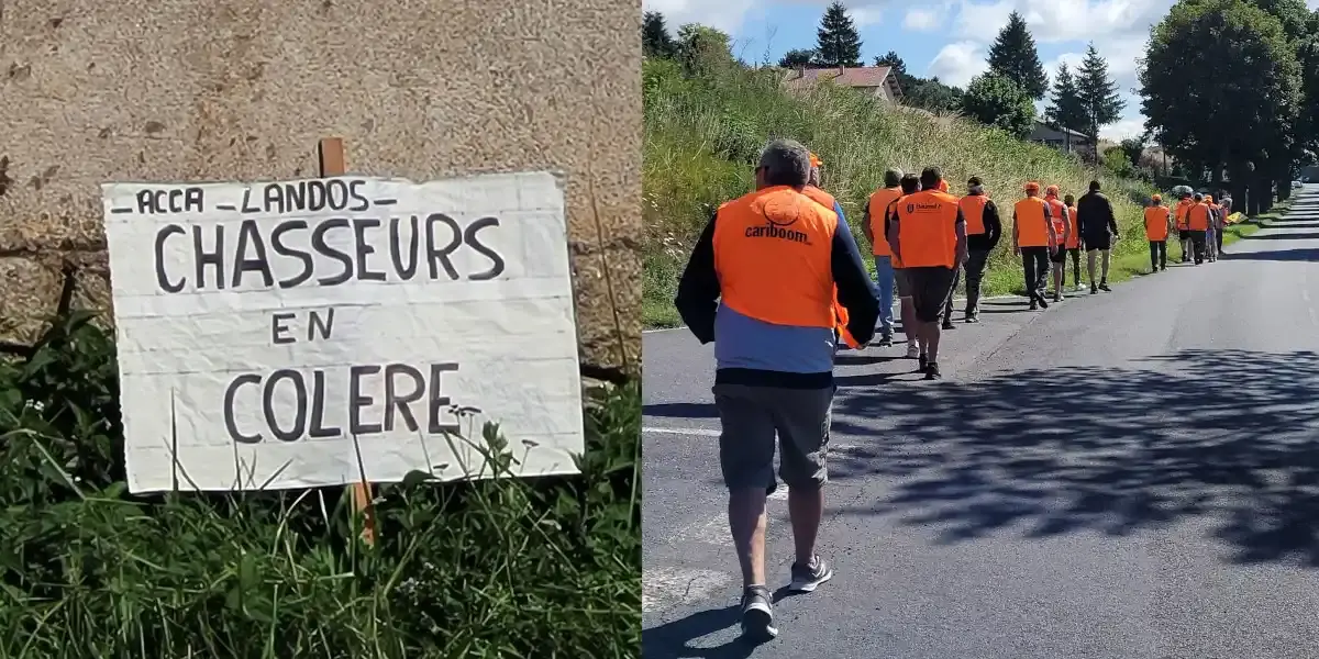 chasseurs-landos