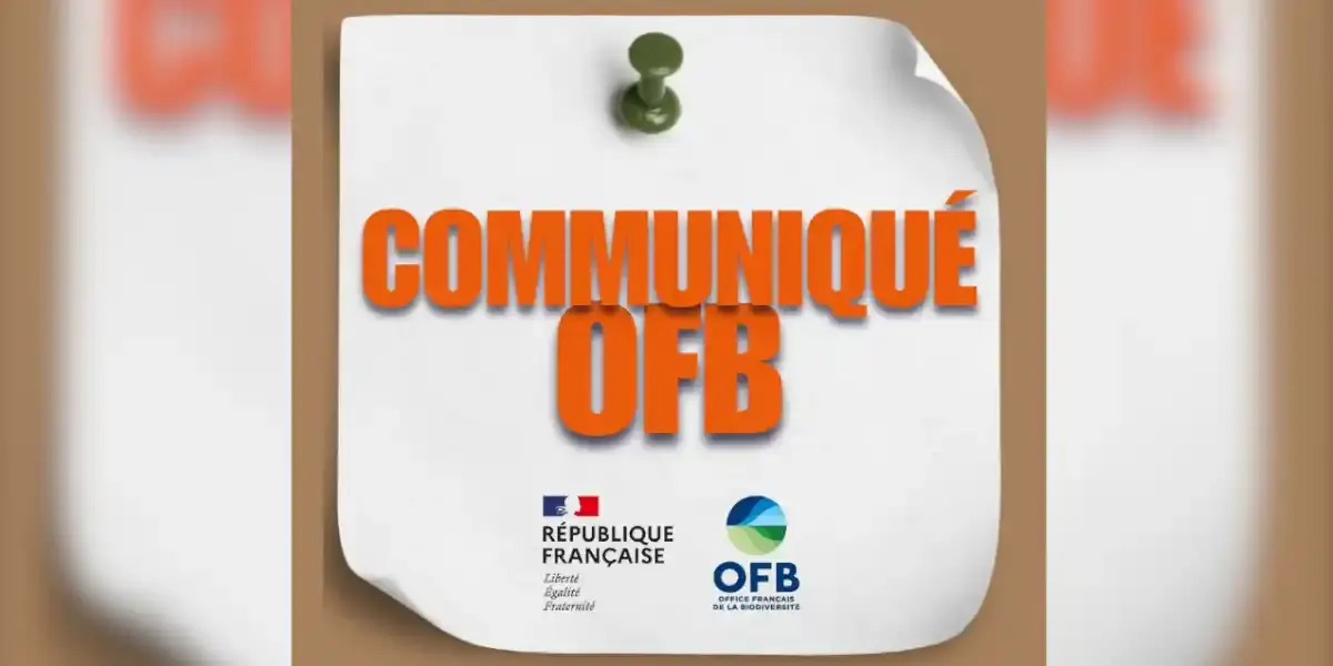 communique-OFB