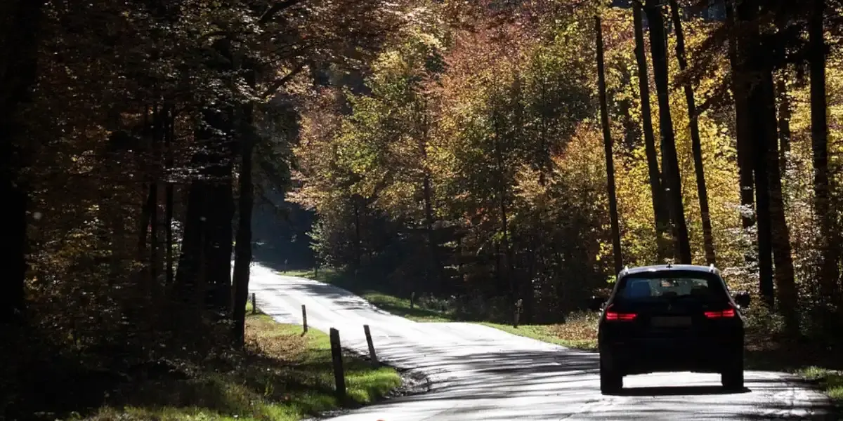Trop de promeneurs en forêt : l’ONF ferme 5 routes forestières en Alsace