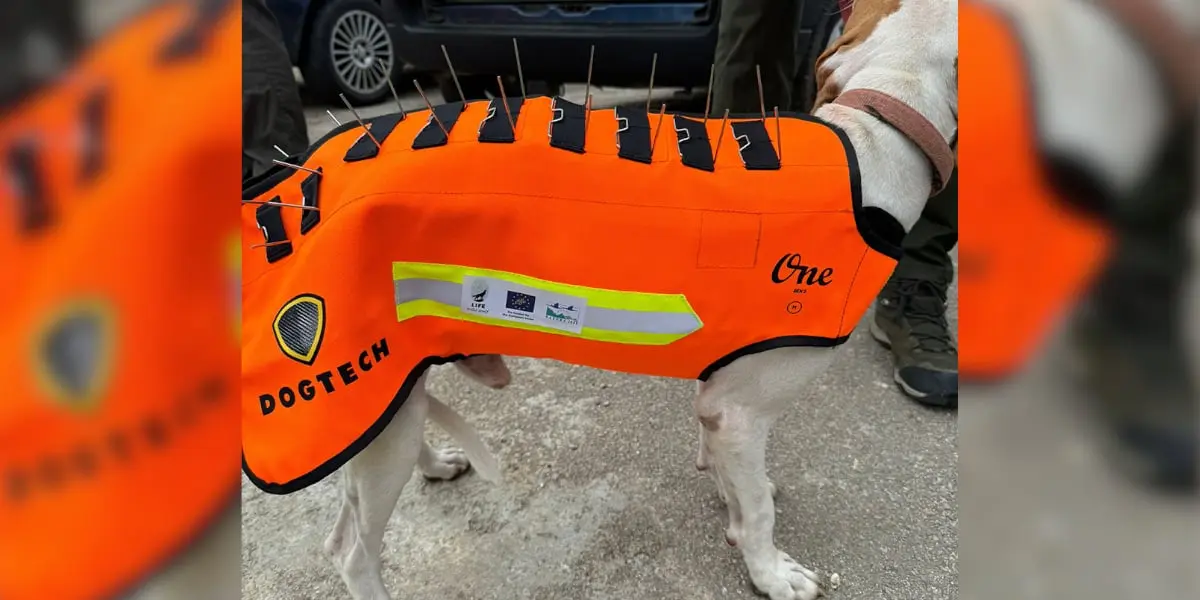 gilet anti-loups