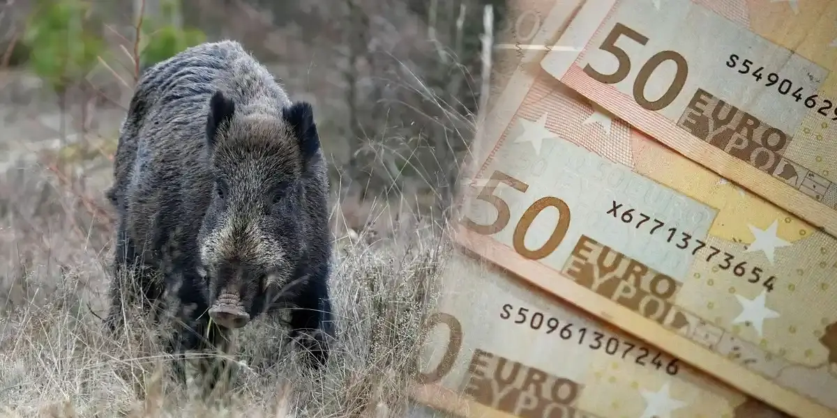 payer les chasseurs