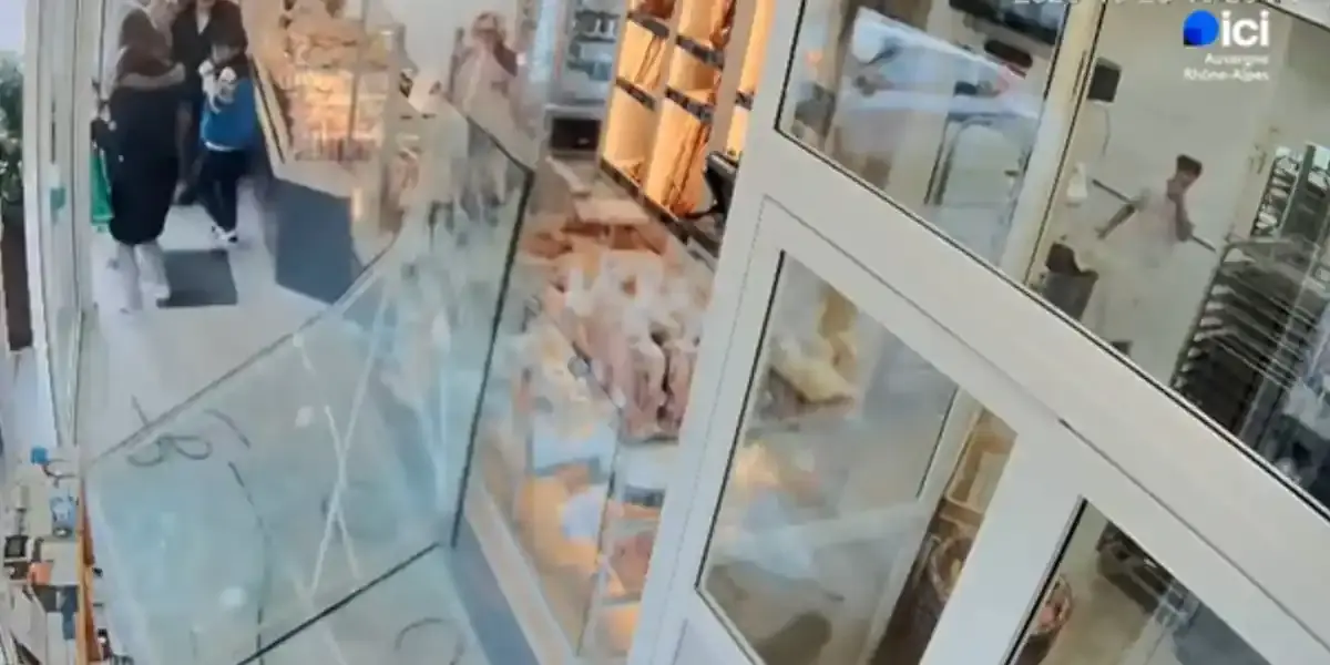 sanglier vitrine boulangerie