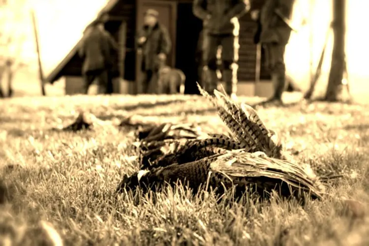 La chasse, une passion, une vie La chasse, une passion, une vie