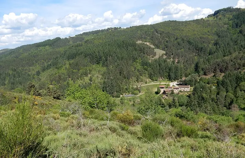 Le territoire de chasse au grand gibier de raboulet
