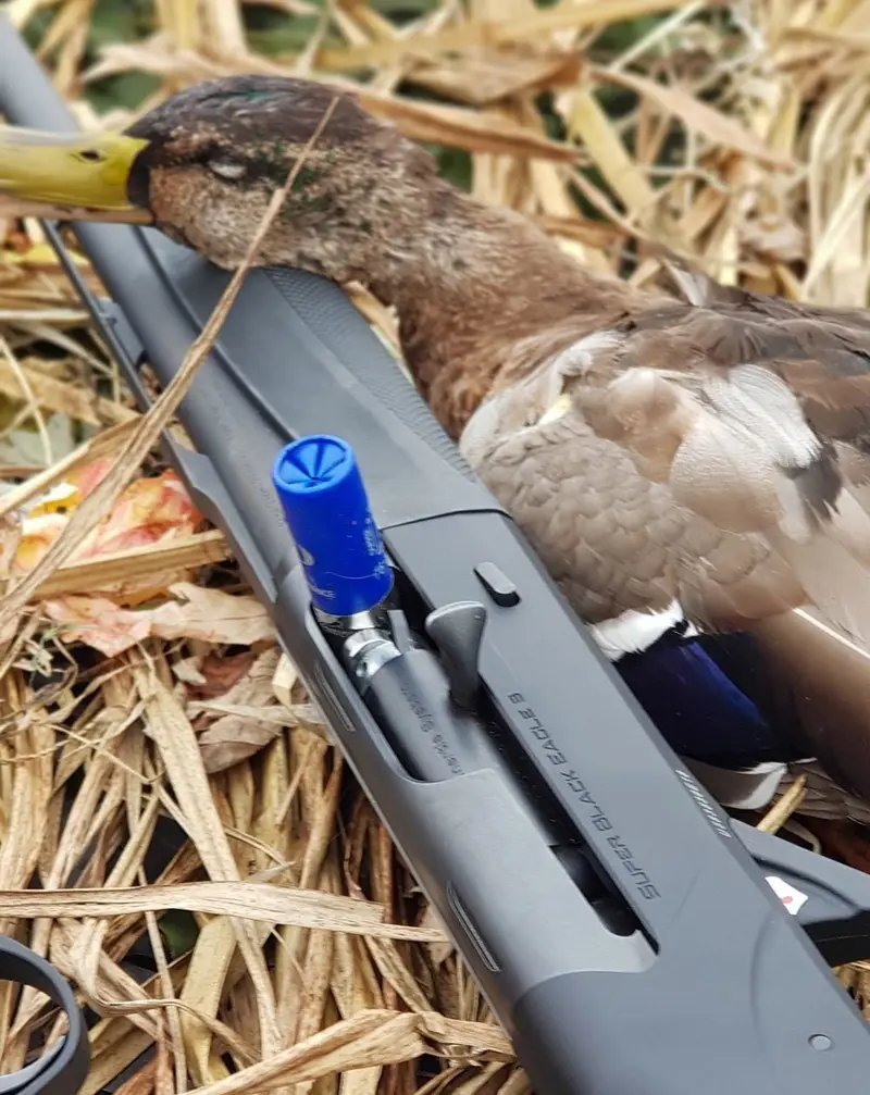 Benelli Super Black Eagle 3, une machine pour les chasseurs de gibier d'eau Benelli Super Black Eagle 3, une machine pour les chasseurs de gibier d'eau