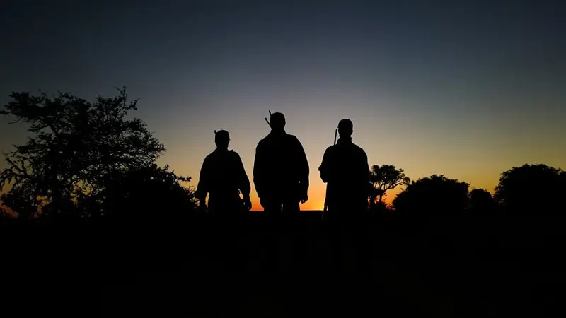 La chasse de nuit