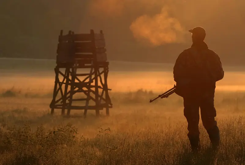 L'Alsace et la Moselle sont les seuls départements à autoriser la chasse de nuit au sanglier