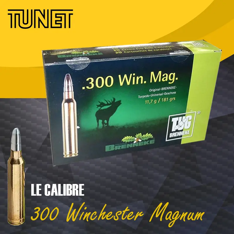 Le calibre 300 WM