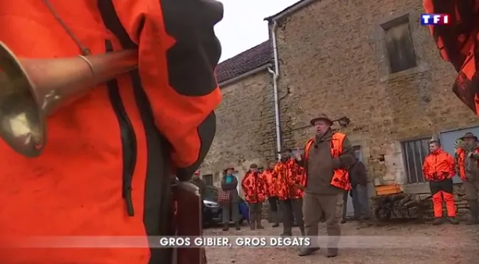 Dégâts de gibier, quand TF1 met les chasseurs à l’honneur