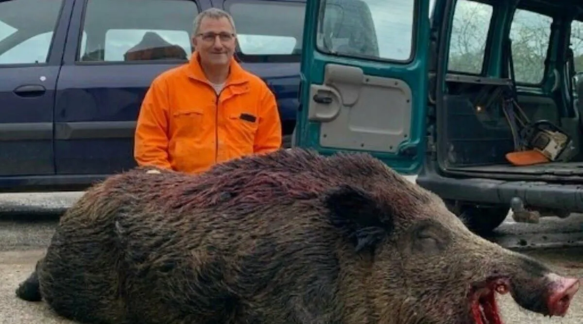 Haute-Marne : il bat le record de la communal avec un sanglier de 167 kg