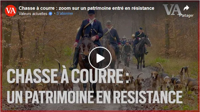 Chasse à courre : zoom sur un patrimoine entré en résistance