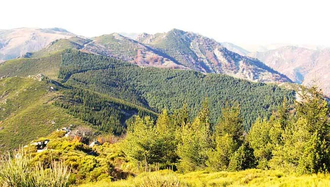 Ardèche : un promeneur en détresse retrouvé avec l’aide des chasseurs