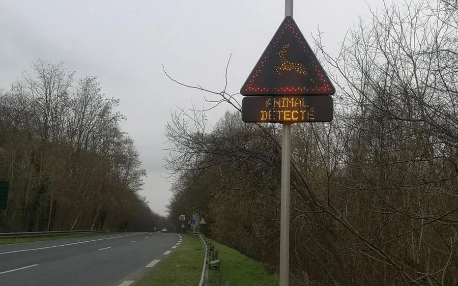 Un radar anti-collision avec les animaux sauvages dans le Val-d’Oise