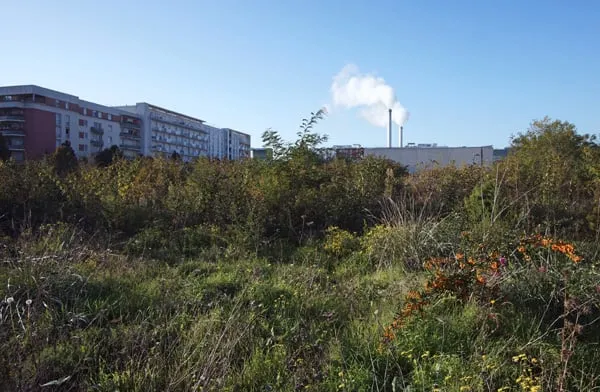 La ville de Montpellier retire le droit de chasse sur les biens municipaux