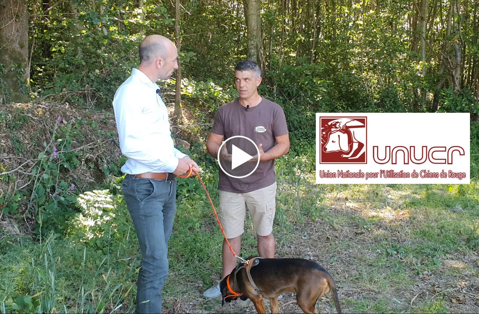 Reportage : la recherche au sang