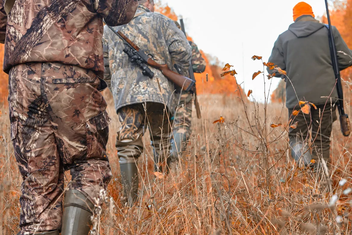 Charente : la chasse est possible ce week-end (8/9 décembre)