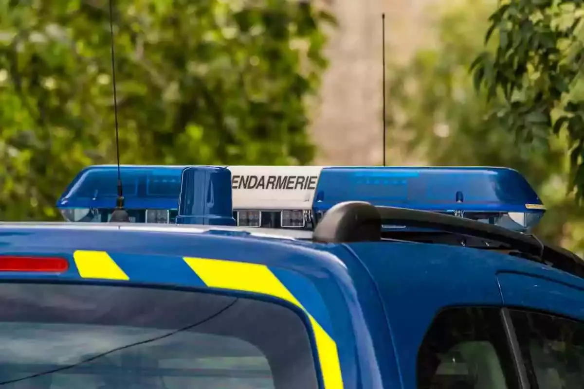 Une arme de chasse disparaît dans un accident de la route mortel : « Quelqu’un a volé la carabine de mon père »