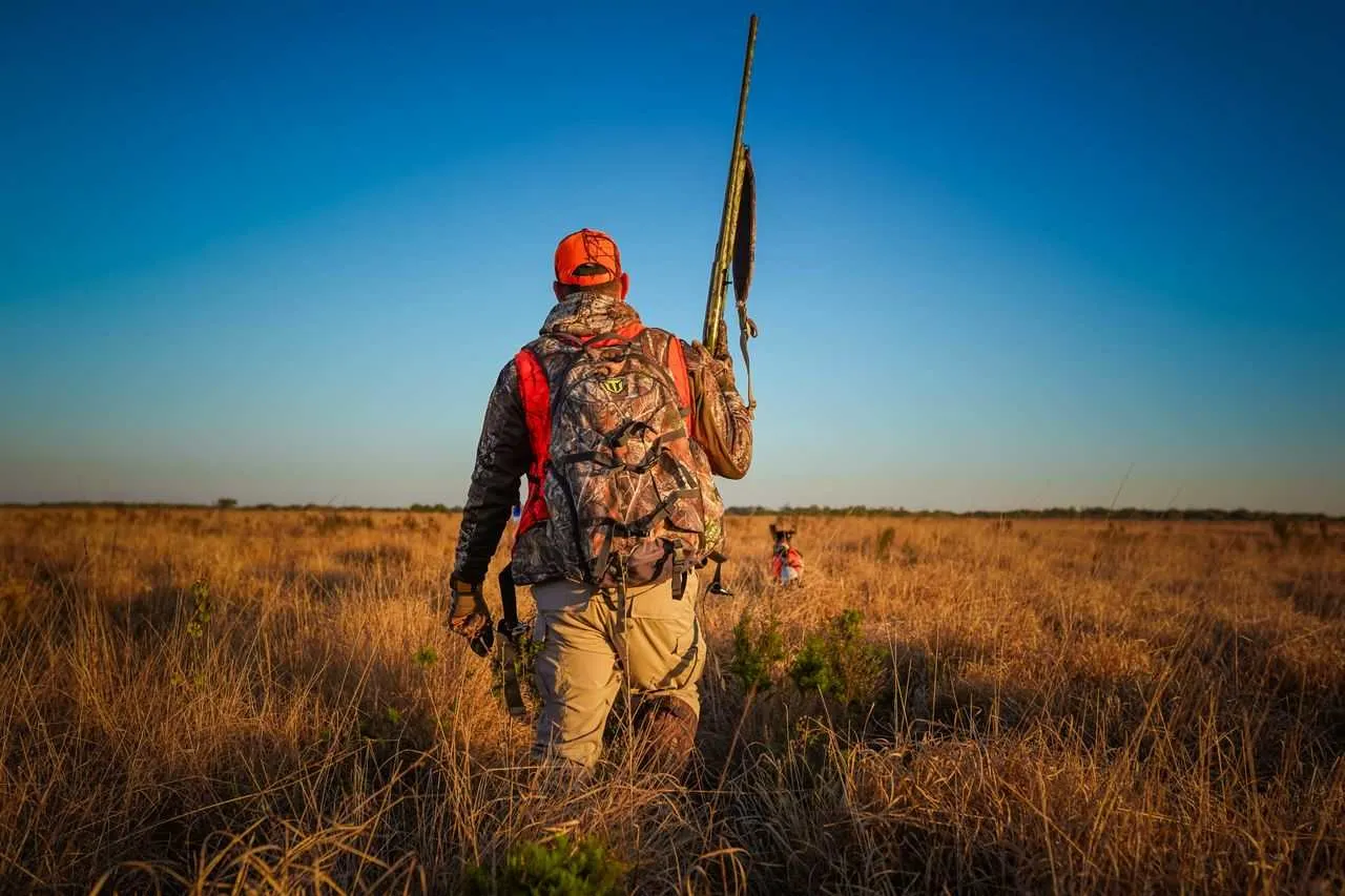 chasseur dans le ciel bleu