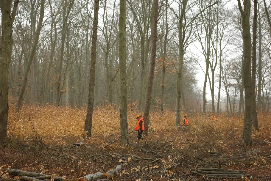 Forêt domaniale de Compiègne Lot 1 – Appel à soumission