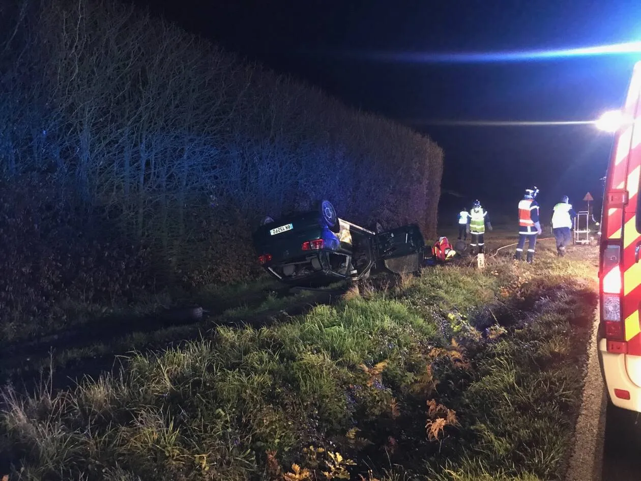 Collision avec un sanglier, un automobiliste éjecté de sa voiture