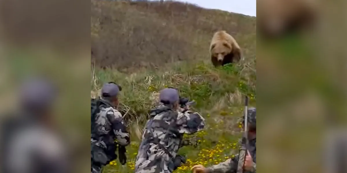 chasseurs vs ours
