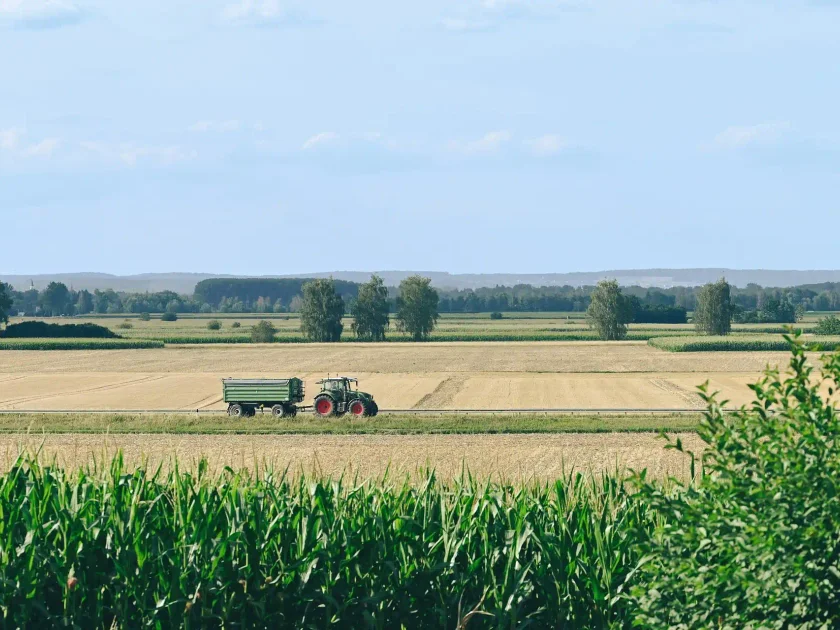 agriculteur maïs