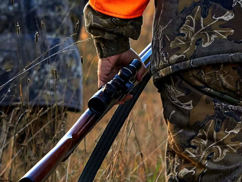 carabine chasse