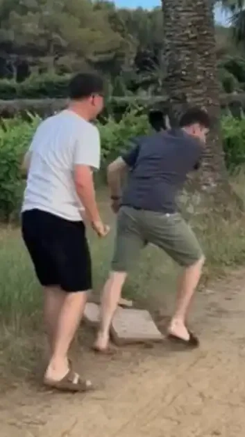 Miniature : [Vidéo] Des sangliers agressent des plagistes pour leur voler leurs pizzas