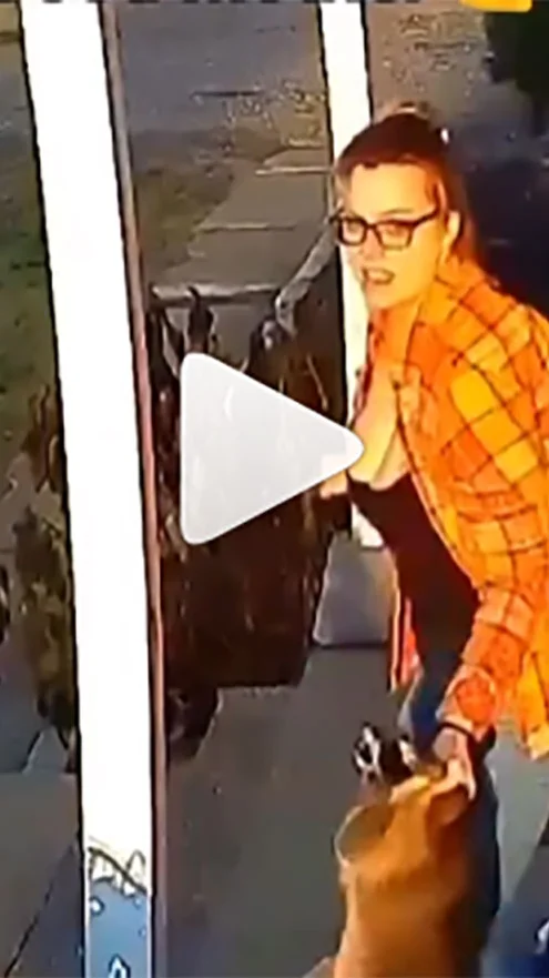 Miniature : [Vidéo] Une mère défend sa fille qui se fait mordre par un raton laveur