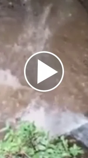 Miniature : Vidéo : canyoning chez les sangliers !
