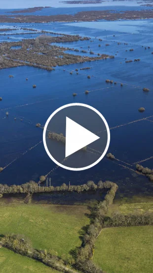 Miniature : Vidéo : le lac de Grand Lieu, une zone humide d’exception