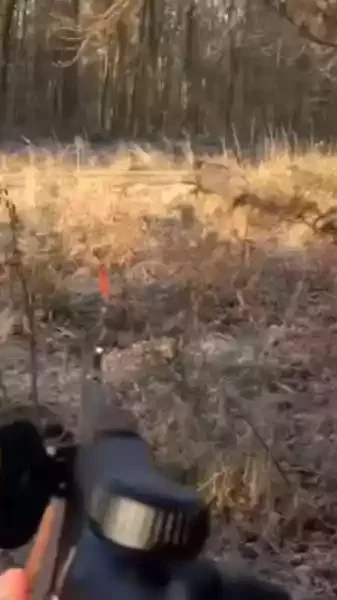 Premier keiler pour un jeune chasseur