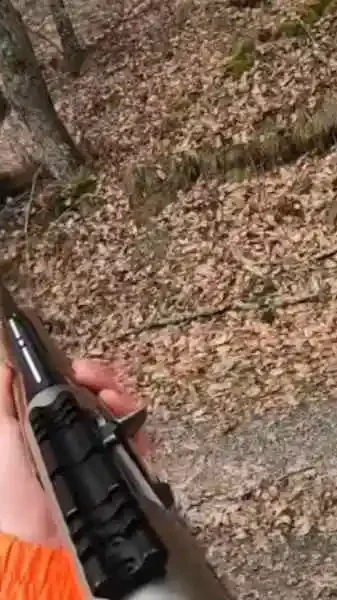 premier sanglier d'un jeune chasseur