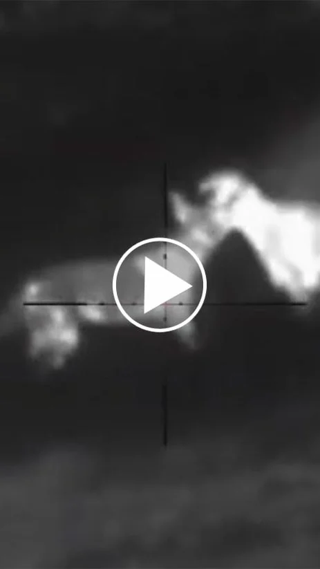 Miniature : [Vidéo] Tir de nuit à la lunette thermique pour protéger les troupeaux de moutons.