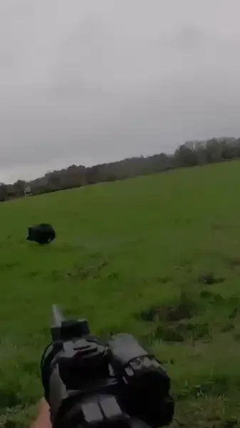 tir sanglier dans un pré inondé