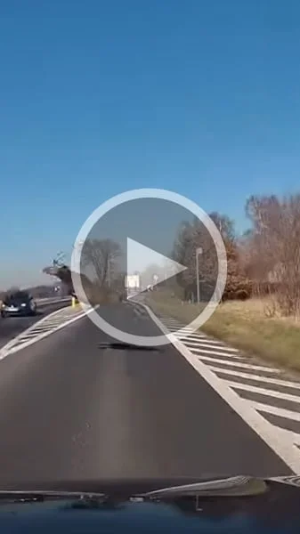 Miniature : [Vidéo] Un cerf saute à une vitesse folle entre les voitures qui se croisent