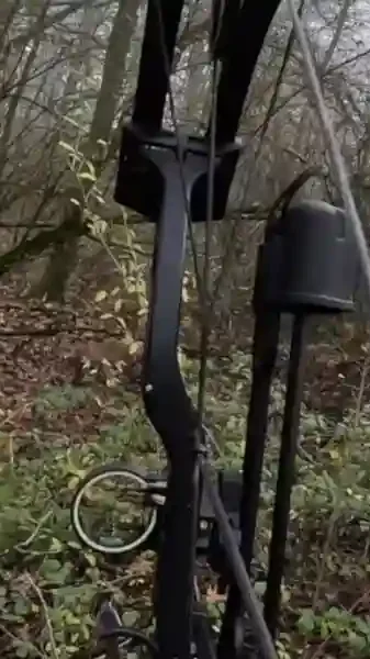 un renard apparait devant un chasseur à l'arc