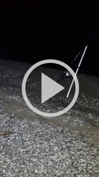 Miniature : [Vidéo] Un sanglier approche un pêcheur sur une plage pour lui voler son poisson