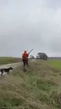 Miniature : [Vidéo] Quand ton chien est meilleur que son maître à la chasse !