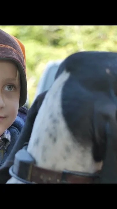 Miniature : [Vidéo] Un dimanche à la chasse « spécial chiens courants »