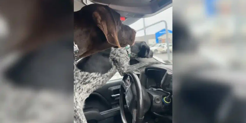 arret dans la voiture
