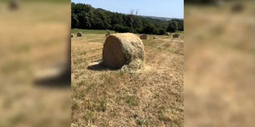 boule abimee