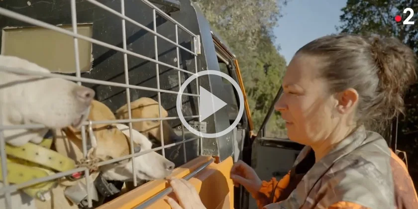 [Vidéo] Sur les traces d’une chasseresse pour une chasse aux sangliers en Corse sur France 2