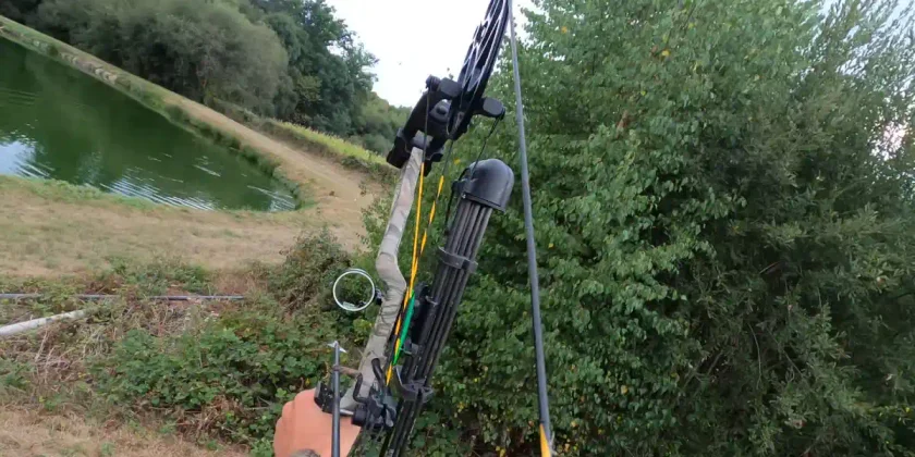 chasse du ragondin a larc