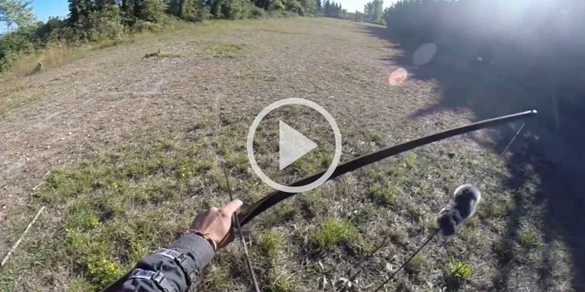 [Vidéo] Chasse à l’arc : une matinée aux lièvres avec de l’action
