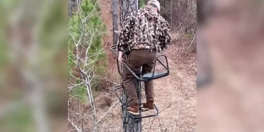 chasseur au treestand