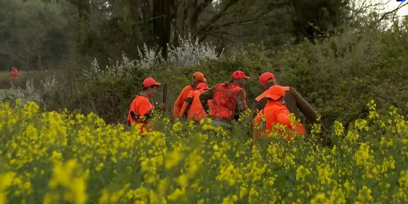 chasseurs Briec