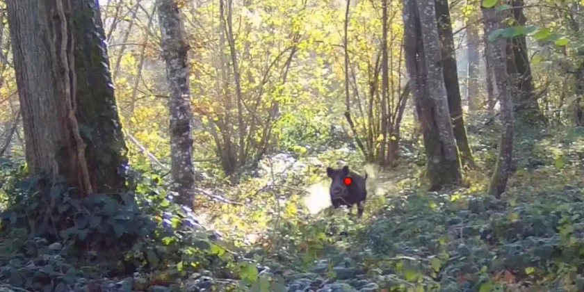 compilation the chasseur