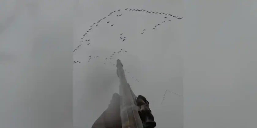 coup de longueur